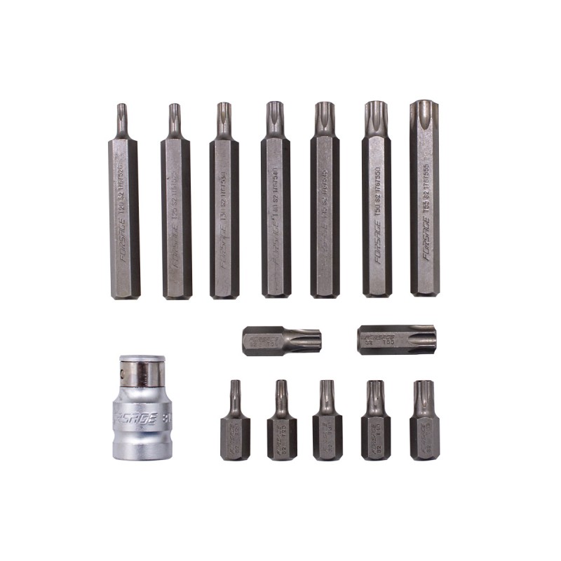 Набір біт Torx з бітотримачем, 15 предметів (T20, T25, T30, T40, T45, T50, T55; L-75мм) ROCKFORCE RF-4156