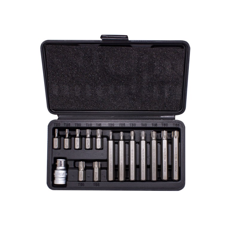 Набор бит TORX с битодержателем,15 предметов 1/2"(L: 30/75мм; Т20,Т25,Т30,Т40,Т45,Т50,Т55), в металлическом кейсе Forsage F-4156C