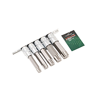 Набір головок-біт Torx 6-променевих, 5 пр. (Т60, Т70, Т80, Т90, Т100; L-100мм) 1/2, на планці ROCKFORCE RF-40914L